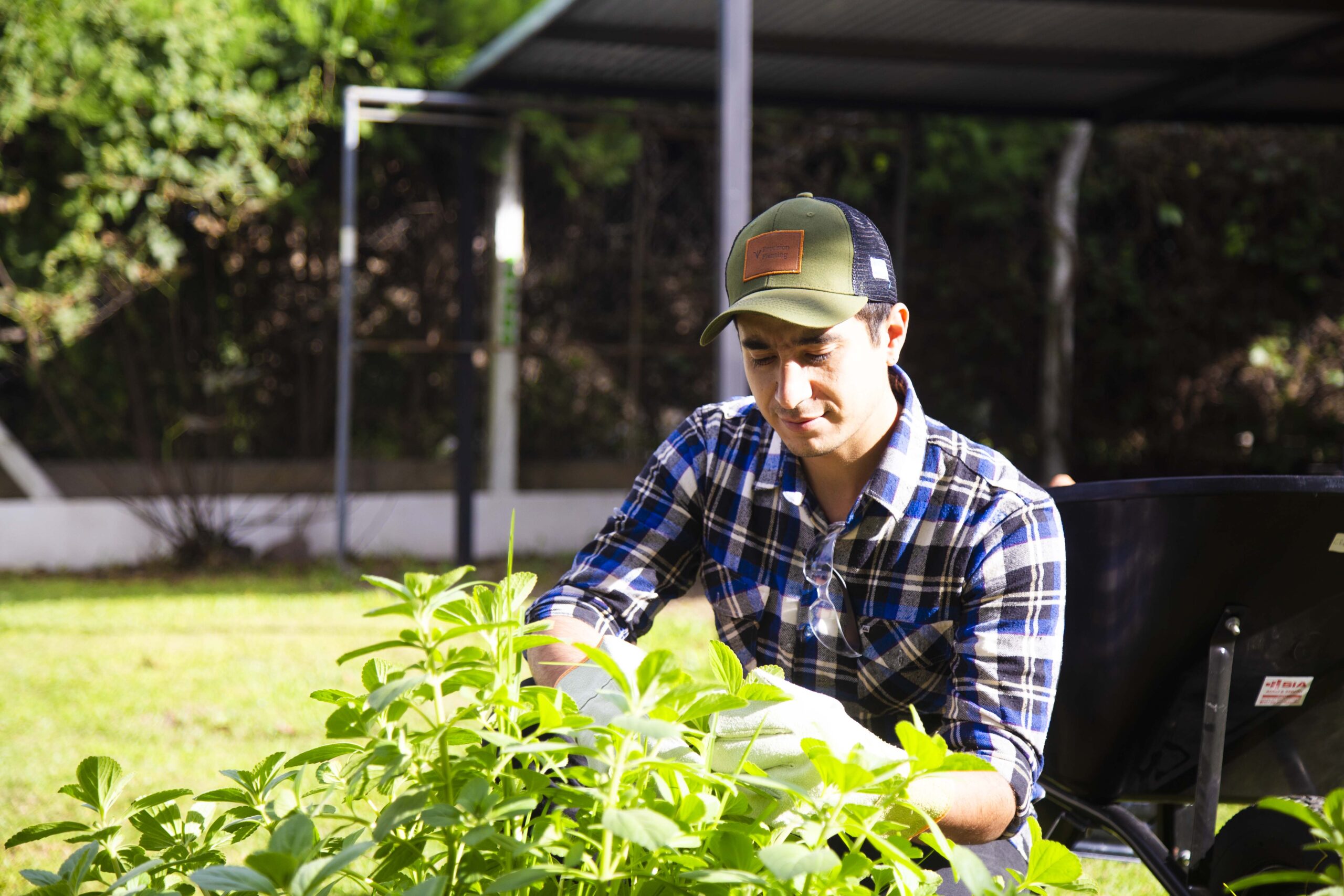 ¿Cansado de perder tiempo buscando el profesional ideal para tu hogar?