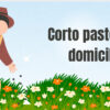 Corto pasto a domicilio terrenos pequeños