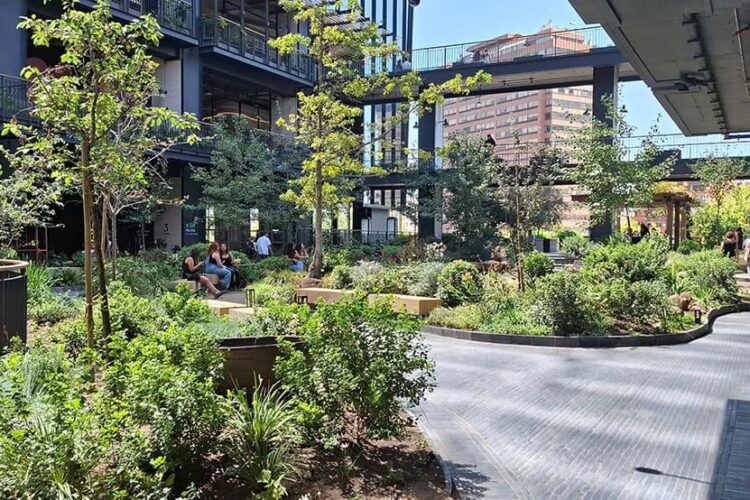 Rewilding y Paisajismo Regenerativo: Las Tendencias que Transforman los Jardines en 2026