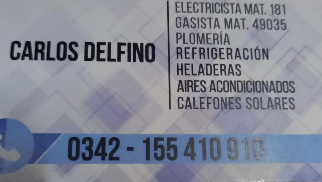 carlos delfino